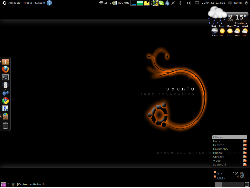 Ubuntu 10.04 LTS