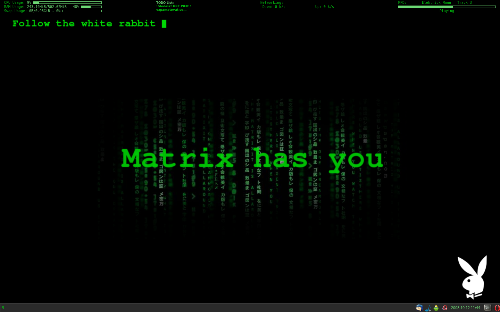 openbox