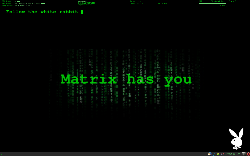 openbox