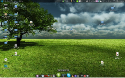 Ubuntu 9.10 + Gnome + Gnome-do