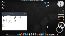 Ubuntu Lucid + Avant Window Navigator + Screenlets