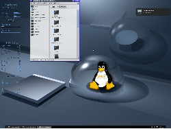 linux mint 9 fluxbox