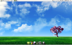 Ubuntu 10.04