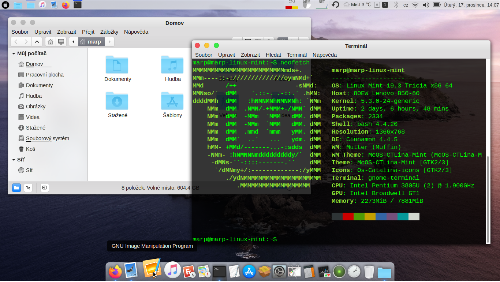 Linux Mint 19.3 Tricia MacOS