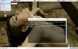 Archlinux + GNOME