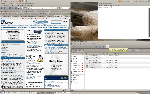 Fedora 10, Dust Sand tema