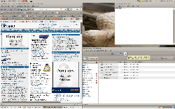 Fedora 10, Dust Sand tema