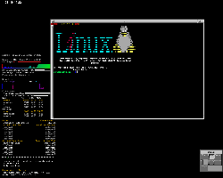 Vysoce customizovaný (Gentoo + FVWM)