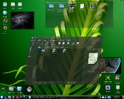 Mandriva 2009 + KDE 4.1.2