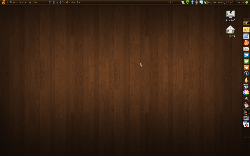 Hnědé Ubuntu 8.10