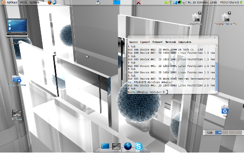 Ubuntu 9.04 & AWN