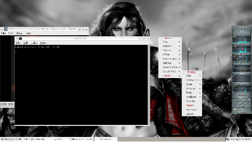 Lubuntu s Fluxom