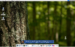 XFCE+MurrinaAquaish
