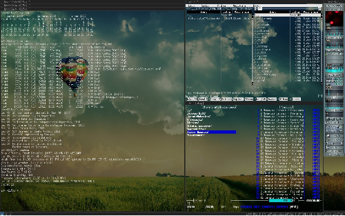 Simple Wmii desktop