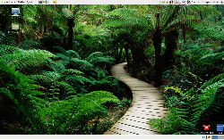 Linux Mint 