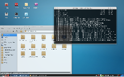 Fedora 17 (Xfce)