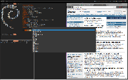 bspwm + polybar + rofi