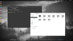 Gnome 3.30.1